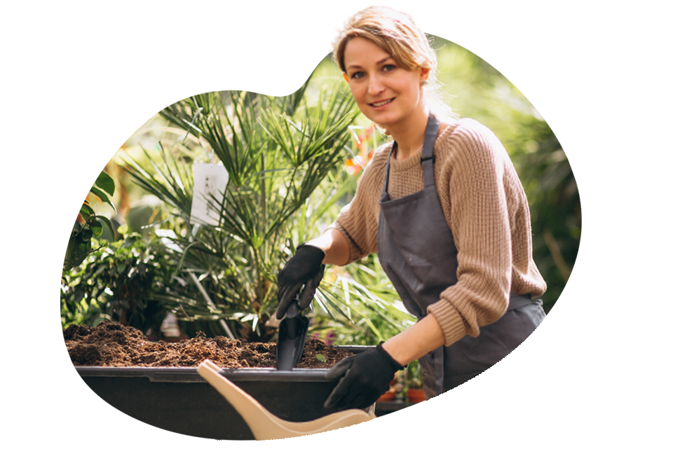 Q Soluções Martins