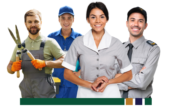 Q Soluções Martins